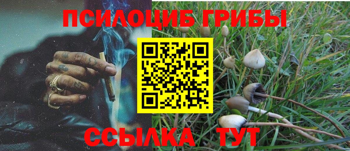 Галлюциногенные грибы GOLDEN TEACHER Дубна