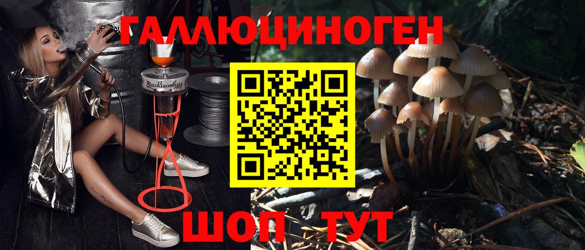 Псилоцибиновые грибы мицелий  Галлюциногенные грибы Psilocybe  Дубна  Вход с VPN 